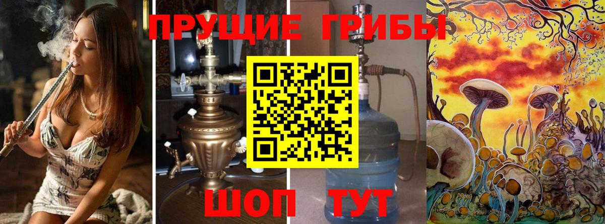 Южноуральск  Галлюциногенные грибы Psilocybe  Галлюциногенные грибы Magic Shrooms  Вход с VPN 